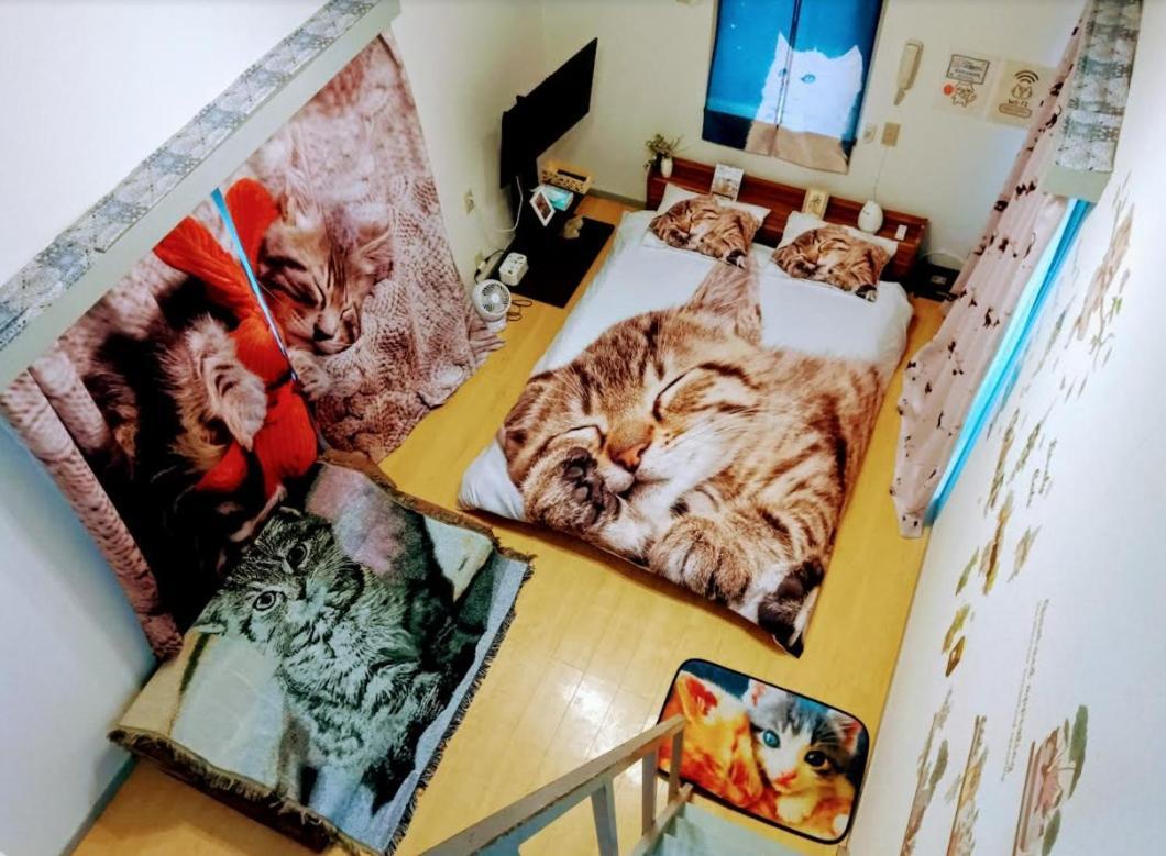 Tokyo Shibuya Shinjyuku Cat House ! Apartment Ngoại thất bức ảnh