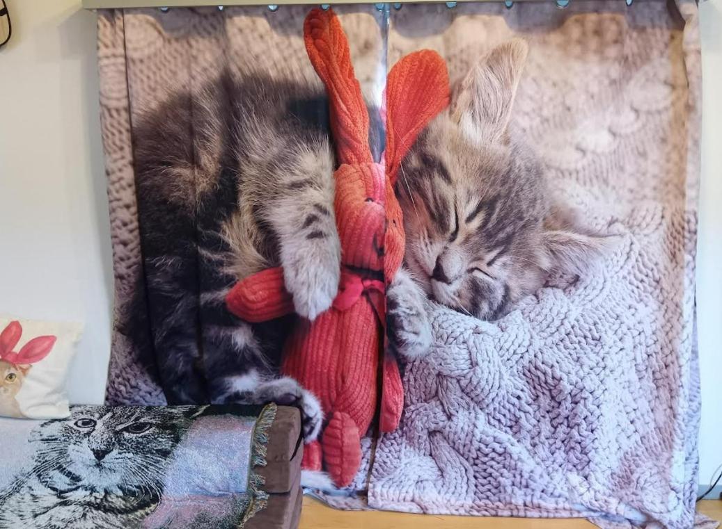 Tokyo Shibuya Shinjyuku Cat House ! Apartment Ngoại thất bức ảnh