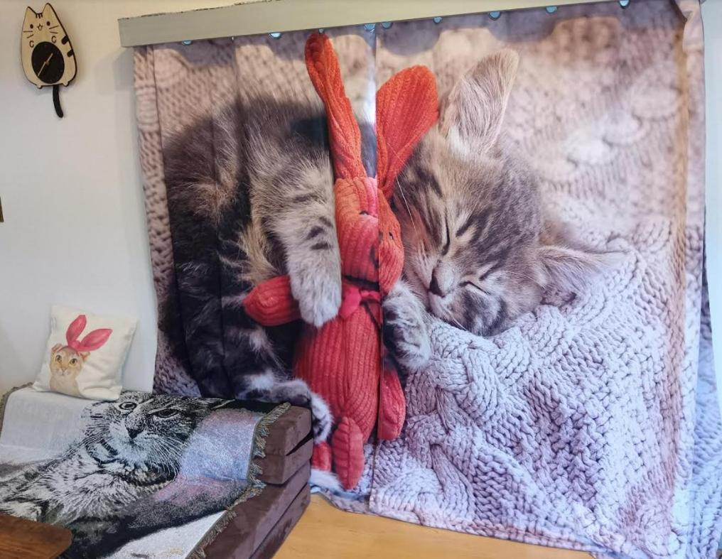Tokyo Shibuya Shinjyuku Cat House ! Apartment Ngoại thất bức ảnh