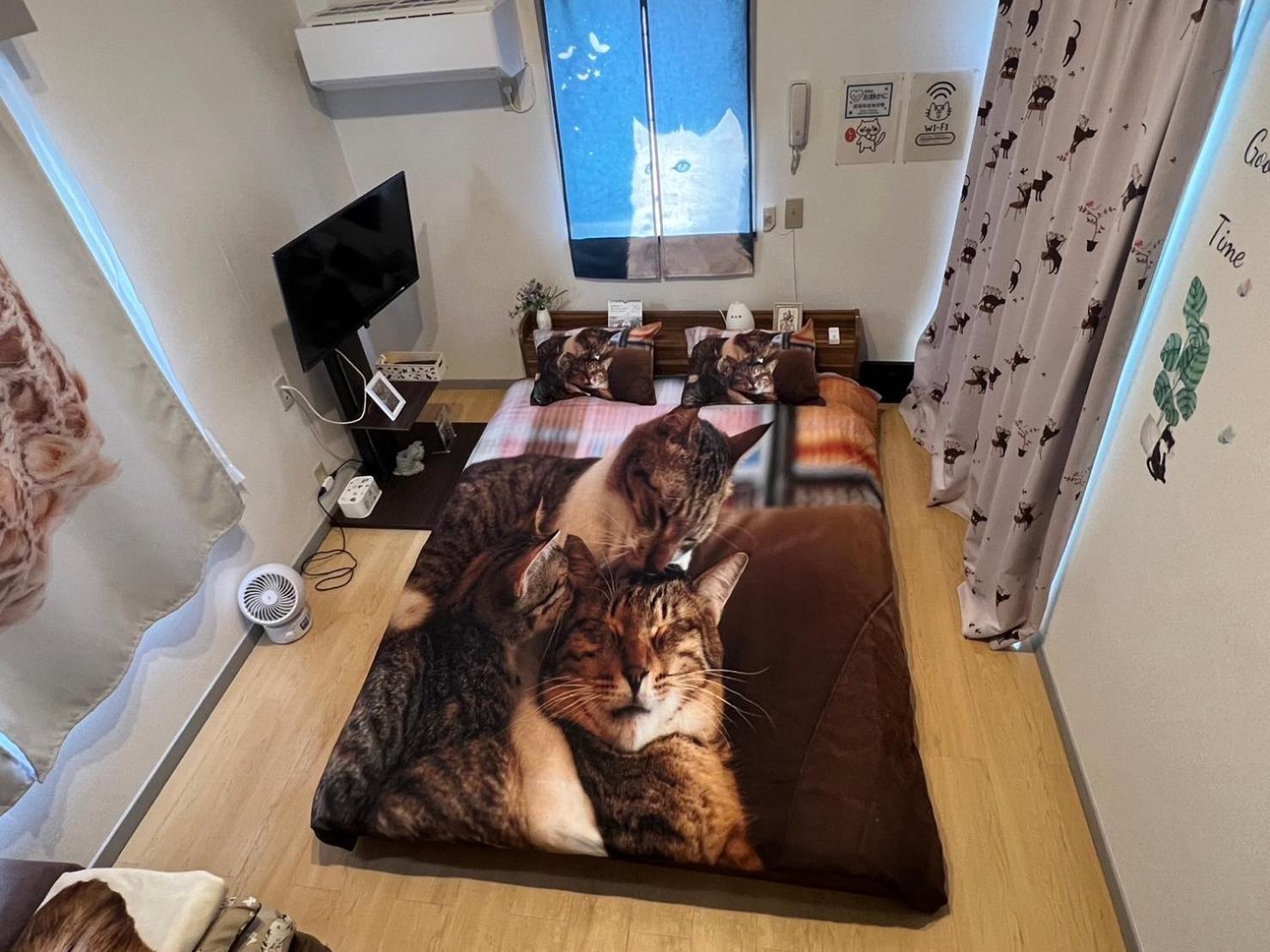Tokyo Shibuya Shinjyuku Cat House ! Apartment Ngoại thất bức ảnh