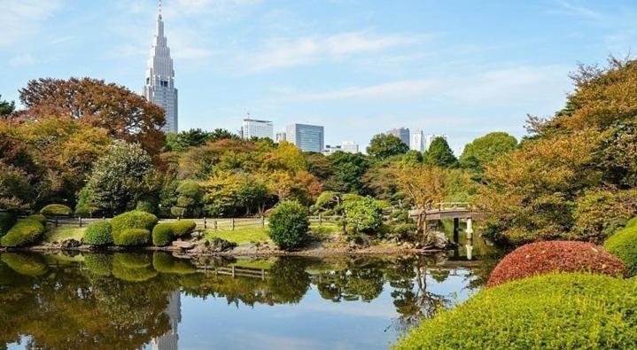 Tokyo Shibuya Shinjyuku Cat House ! Apartment Ngoại thất bức ảnh