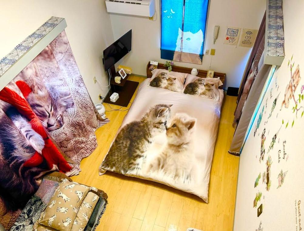 Tokyo Shibuya Shinjyuku Cat House ! Apartment Ngoại thất bức ảnh
